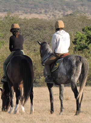 luxury safaris horse riding
