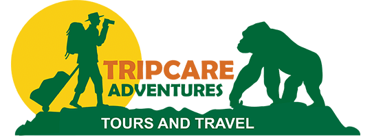 TripCare Adventures Logo