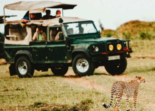 14 days of Uganda Primate and Adventure Exclusive Safari