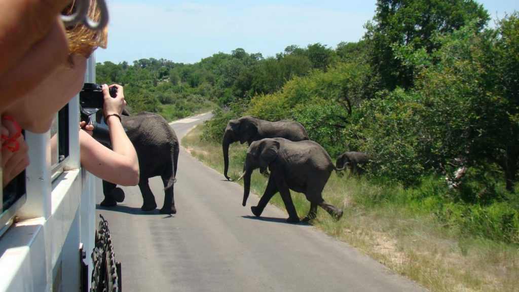 Only the Best Tours in South Africa 1024x576 1