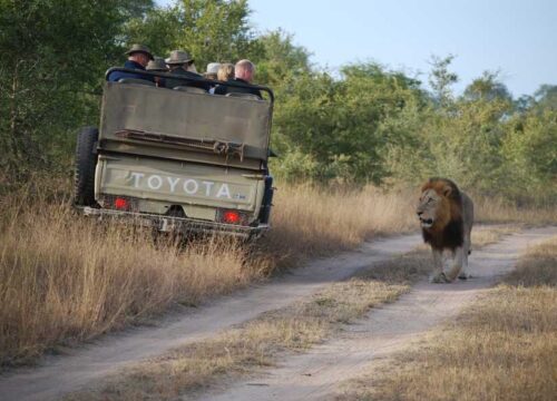 3 Day Trip to Queen Elizabeth & Lake Mburo