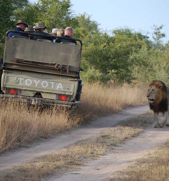 3 Day Trip to Queen Elizabeth & Lake Mburo